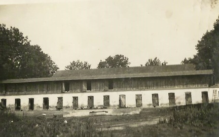 Chlewiki we dworze. Początek lat 40 - tych.