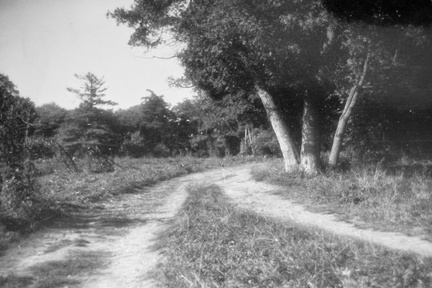 Polna dróżka w parku w Chrobrzu.