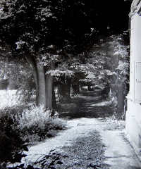 Aleja odchodząca od pałacu Wielopolskich