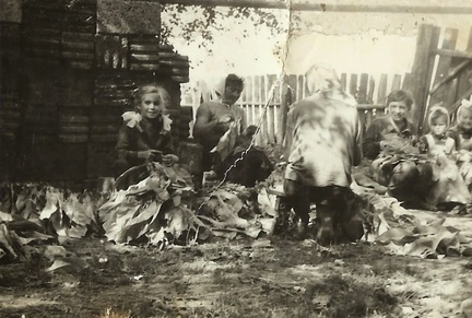 Chroberz - nabijanie tytoniu