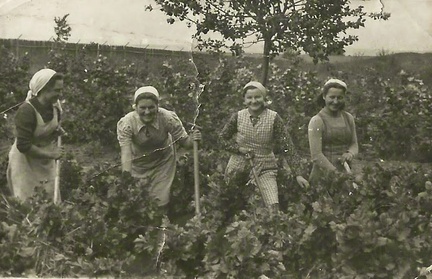 Kobiety podczas pracy w majątku Wielopolskich.