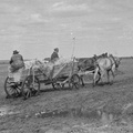 W drodze do Krzyżanowic.