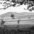 Okolice Winiar od strony Zagości. Lata 1953 - 54.