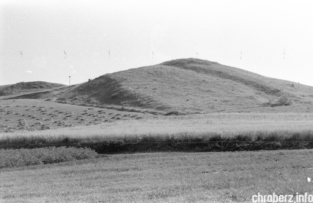 Okolice Winiar (gm. Pińczów, 11 km od Chrobrza). Lata 1953 - 54. 