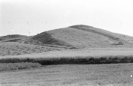 Okolice Winiar (gm. Pińczów, 11 km od Chrobrza). Lata 1953 - 54. 