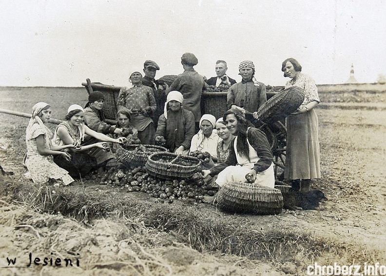 Wykopki na polach w pobliżu Młodzaw Małych. Z tyłu widać fragment kościoła w Młodzawach. Widok od strony południowo-wschodniej. Prawdop. okres międzywojenny. Jeśli posiadasz jakieś informacje dot. zdjęcia prośba o kontakt redakcja@chroberz.info 16237642_1513469395359835_1536553783_n.jpg