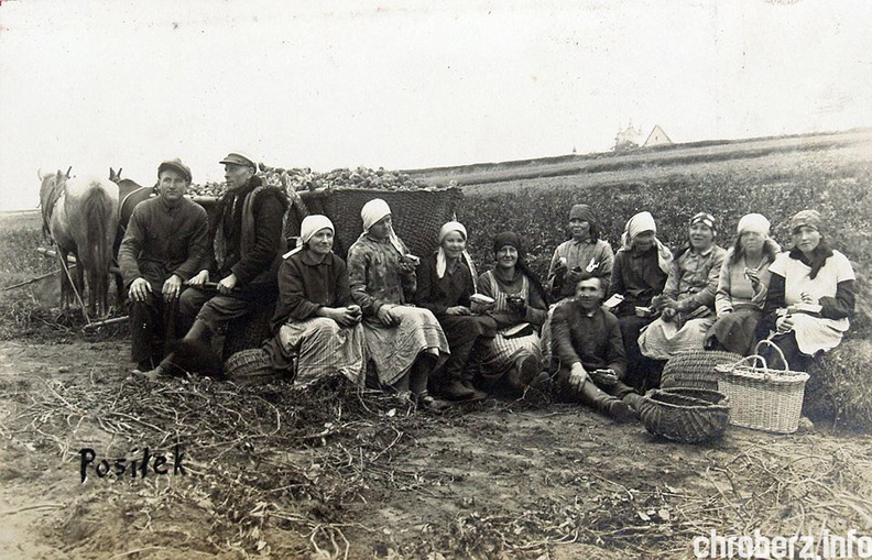Wykopki na polach w pobliżu Młodzaw Małych. Z tyłu widać fragment kościoła w Młodzawach. Widok od strony południowo-wschodniej. Prawdop. okres międzywojenny. Jeśli posiadasz jakieś informacje dot. zdjęcia prośba o kontakt redakcja@chroberz.info 16216049_1513469485359826_586070980_n.jpg